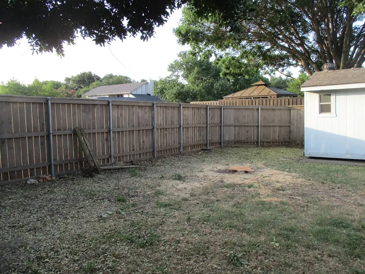 Cleared yard after professional tree removal in Whittier